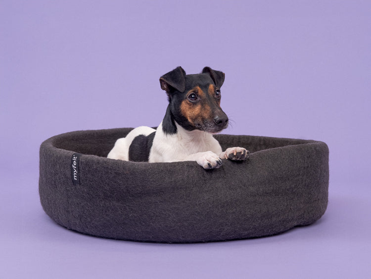 Kuno Hundekorb