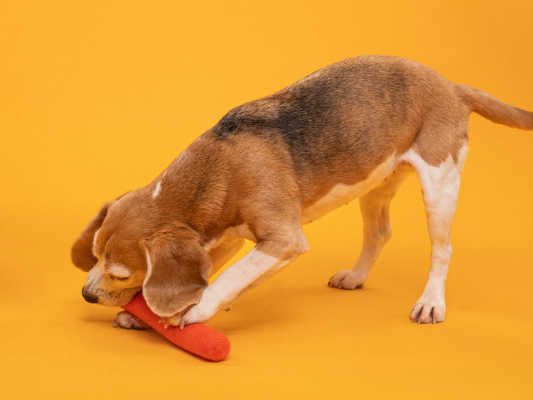 Isa Hundespielzeug - Stock