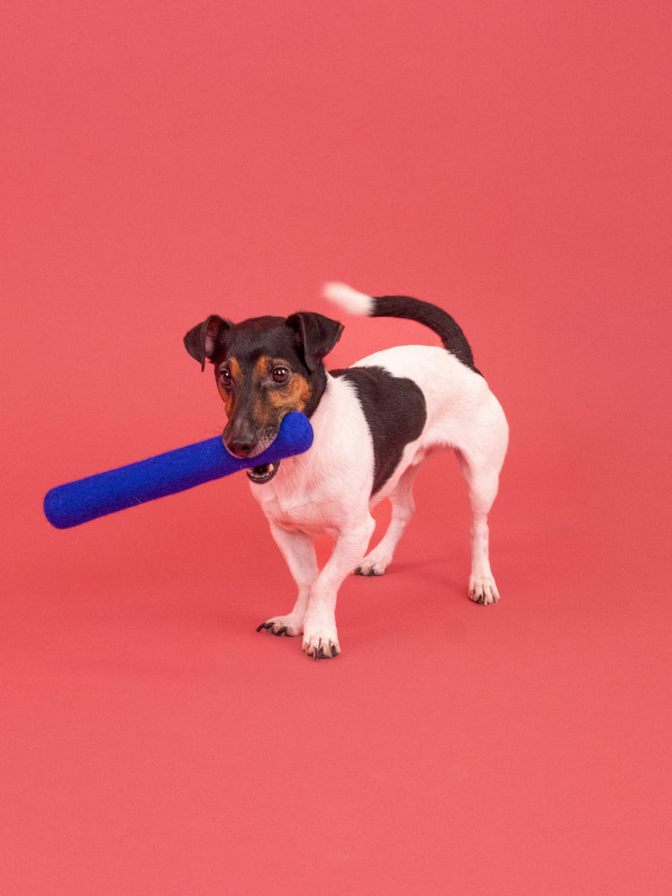 Fine Hundespielzeug - Stock